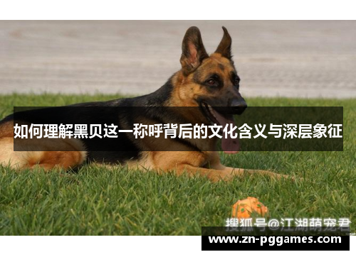 如何理解黑贝这一称呼背后的文化含义与深层象征