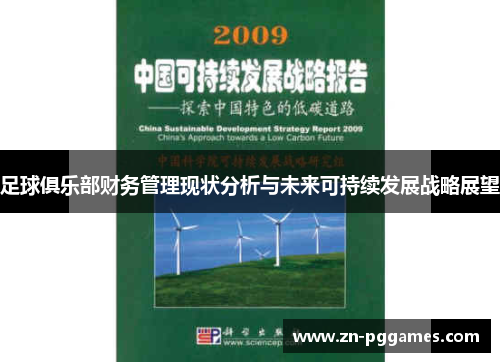 足球俱乐部财务管理现状分析与未来可持续发展战略展望