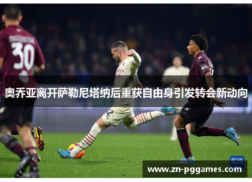 奥乔亚离开萨勒尼塔纳后重获自由身引发转会新动向